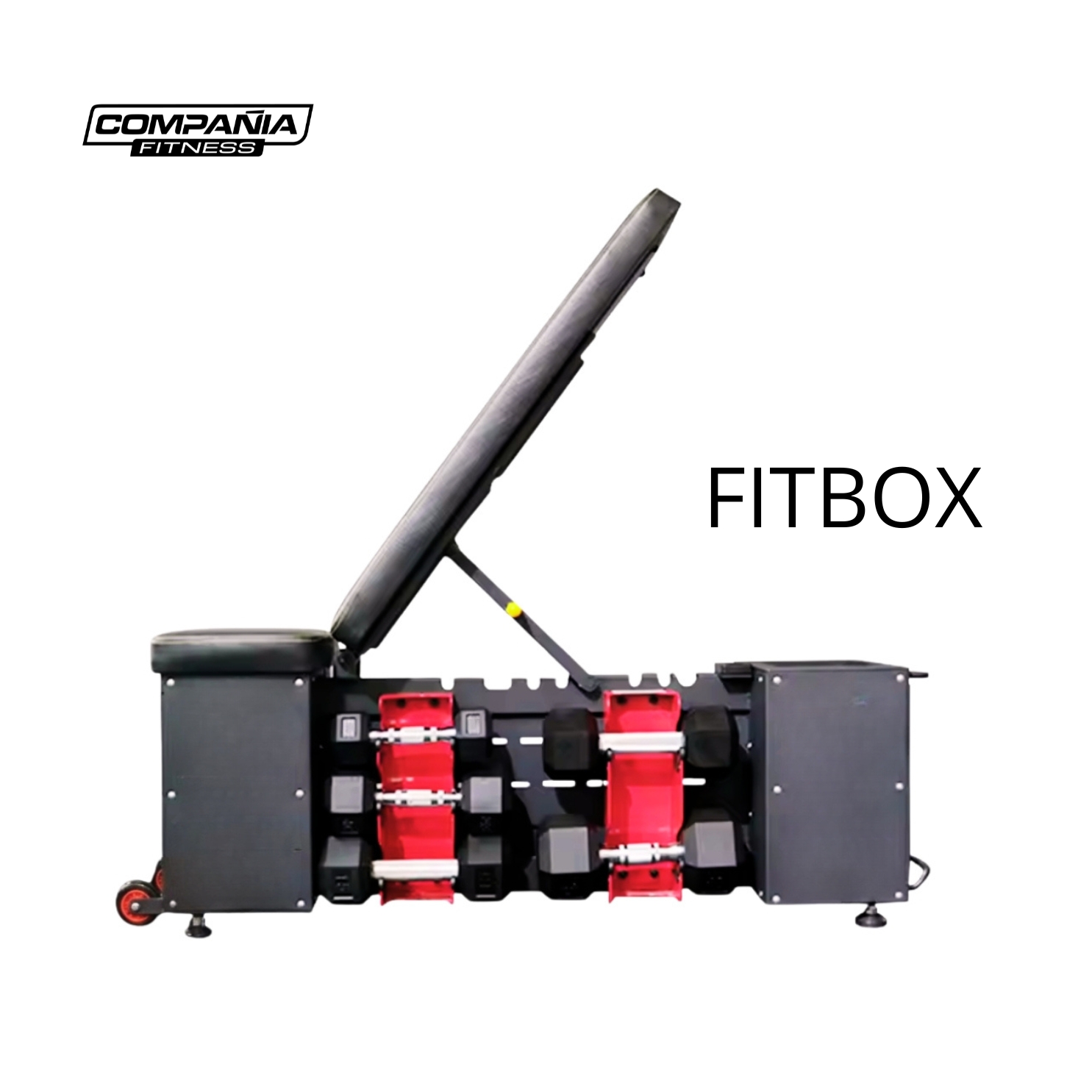 FITBOX4